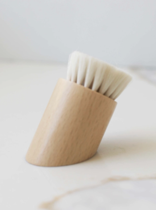 Face Brush
